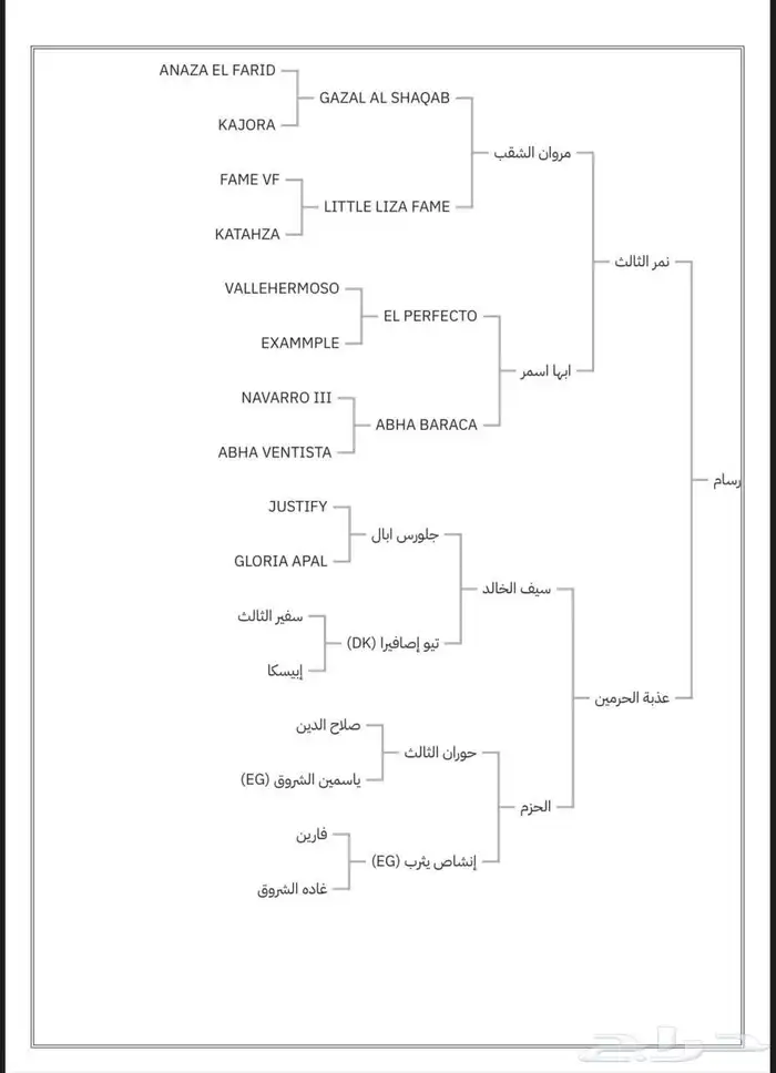 حصان شيخ واهو 2