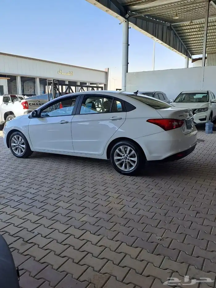 شيري اريزو5 2023 7