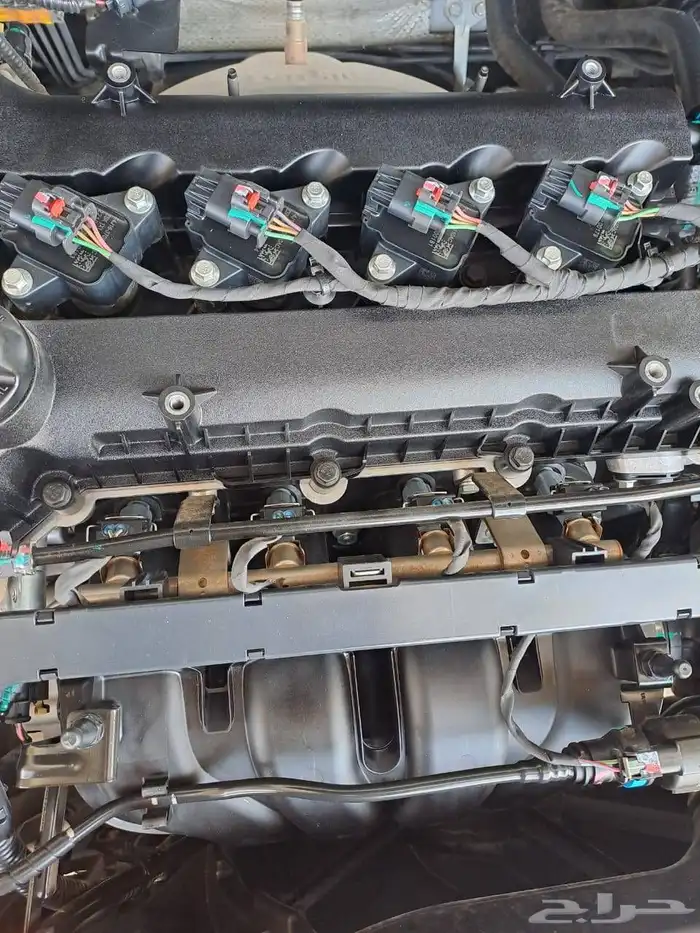 شيري اريزو5 2023 9