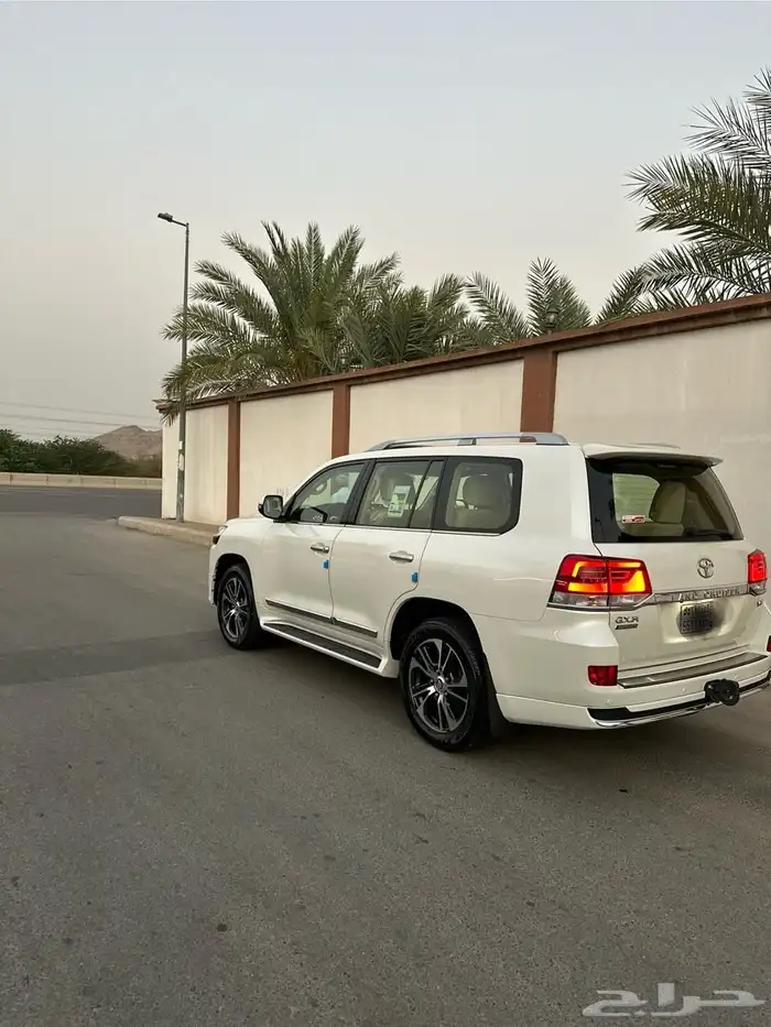 صالون تورنق 2020 5