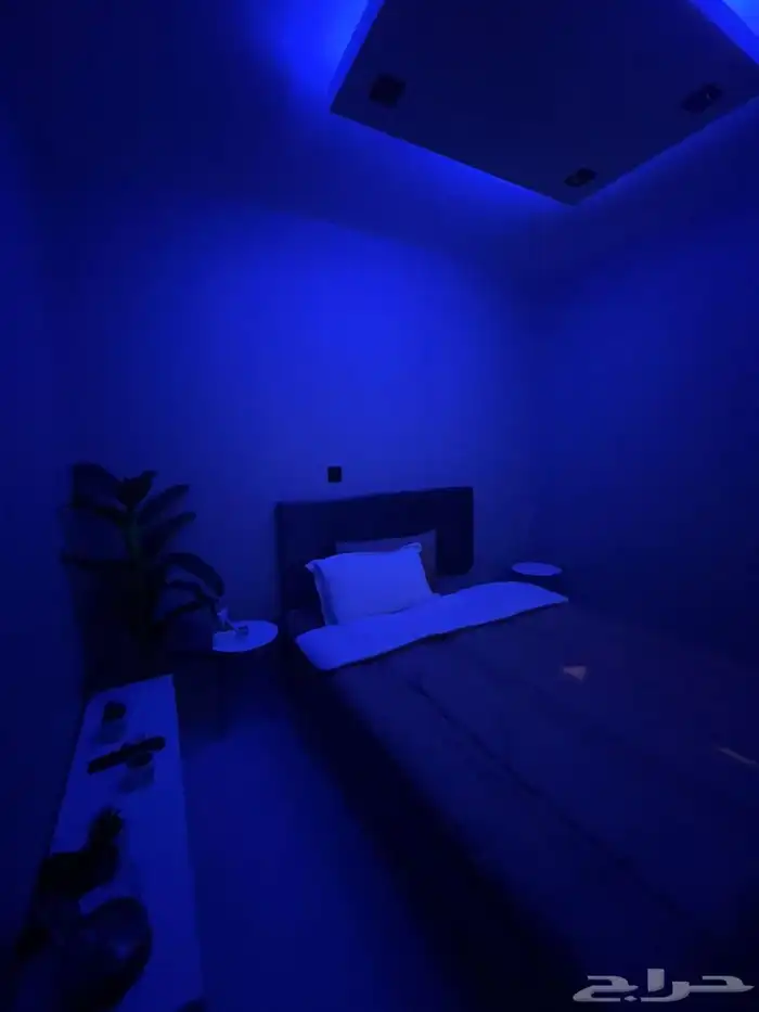 شقه للايجار مفروشه بالمحمدية 1