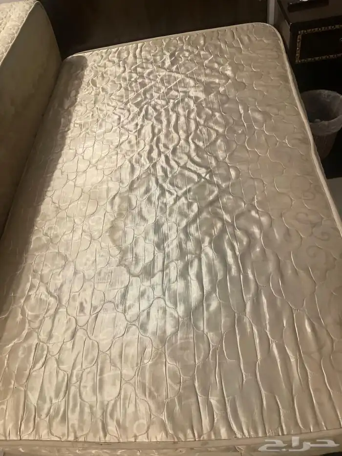 مرتبه سوست نفر ونصف حالتها ممتازه 0