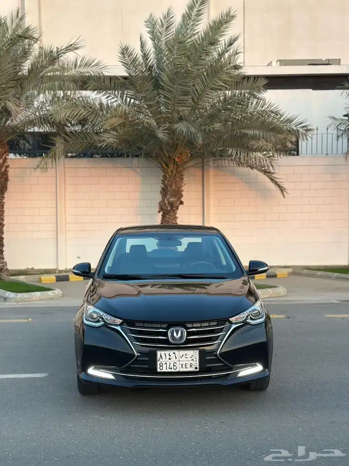 شانجان السفن 2024 فل كامل 1