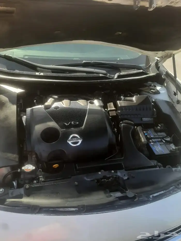 نيسان مكسيما 2014 5