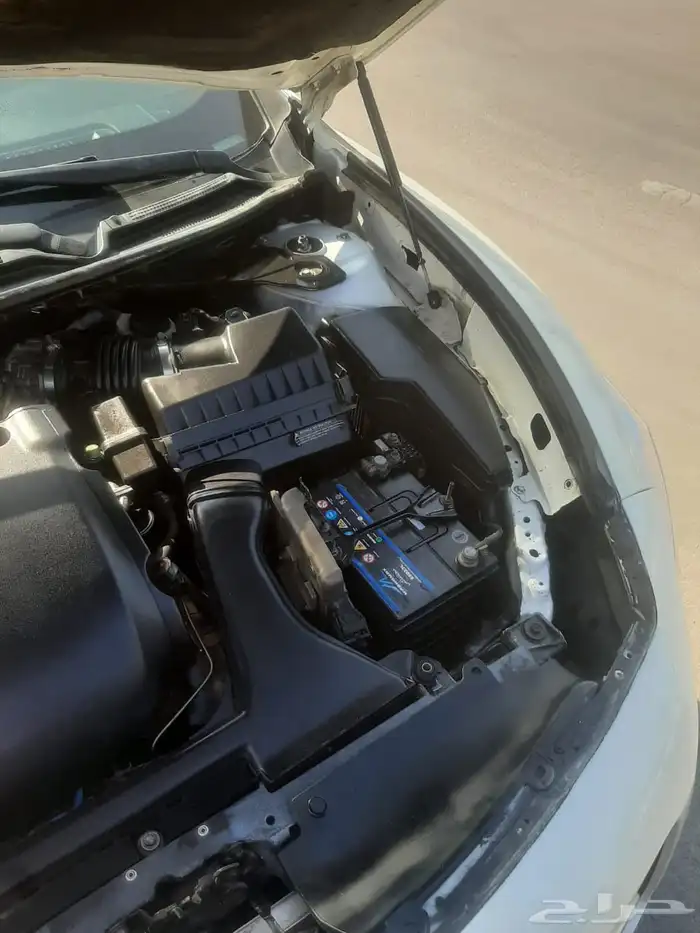 نيسان مكسيما 2014 6