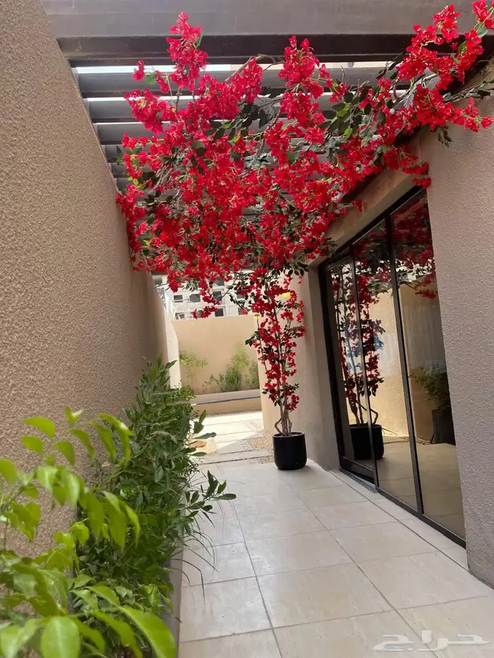 شجر دي ورات حسب الطلب 7