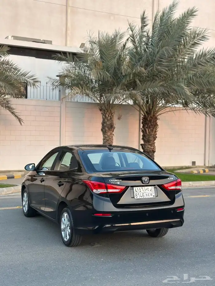 شانجان السفن 2024 فل كامل 9