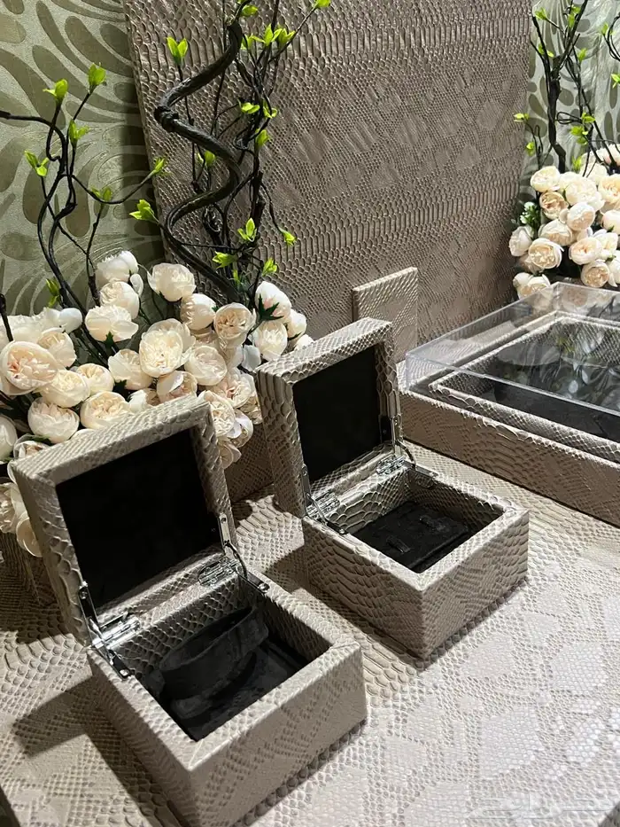 ستاند شبكة 2