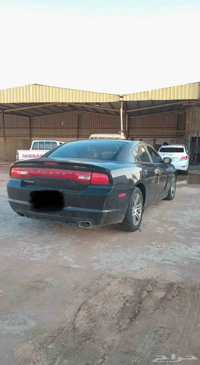 دودج تشارجر 6 سرندل2014 3