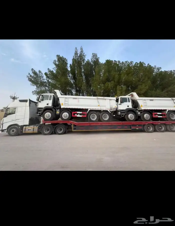 ضباء شرمه تبوك جبل الوز 5