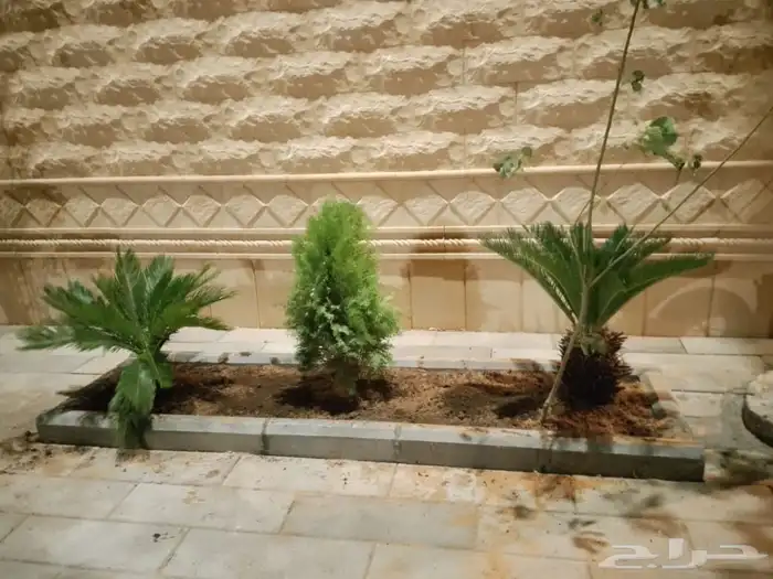 تنسق حدائق وشبكه الرأي 8