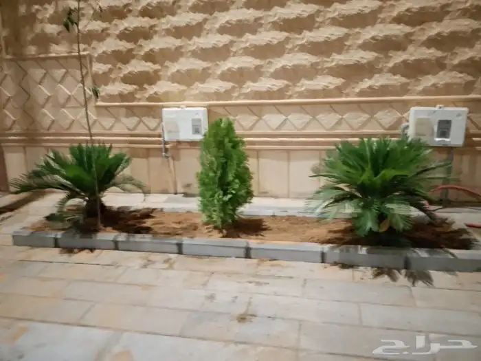 تنسق حدائق وشبكه الرأي 7