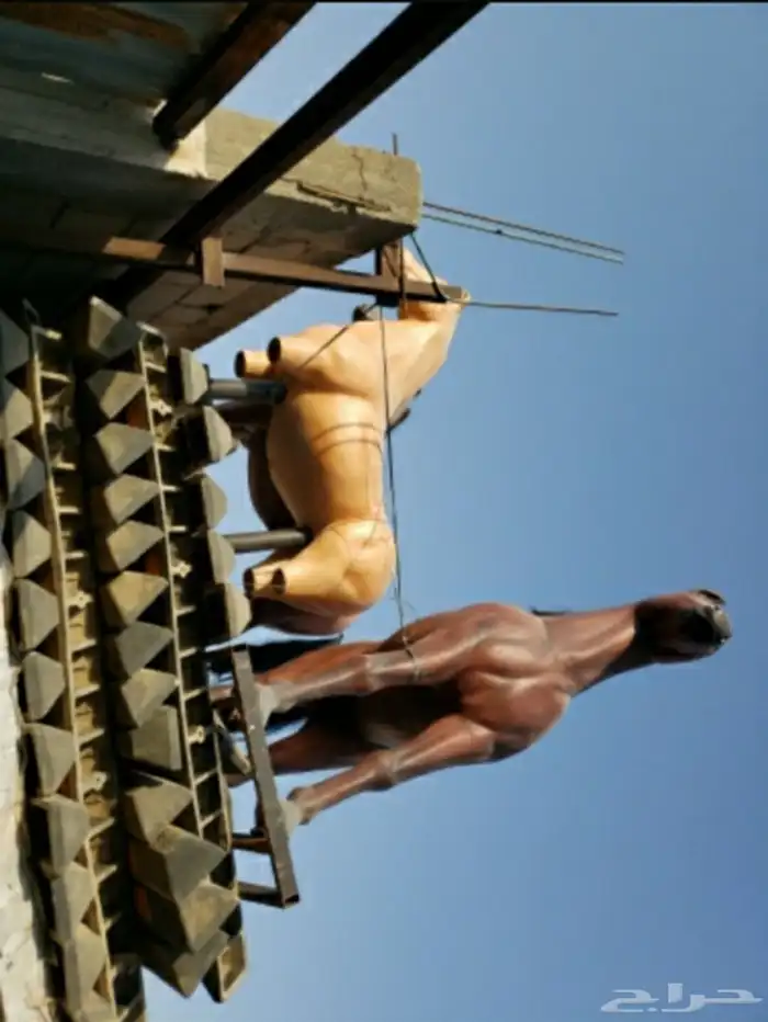 تماثيل احصنه للبيع في الرياض 0