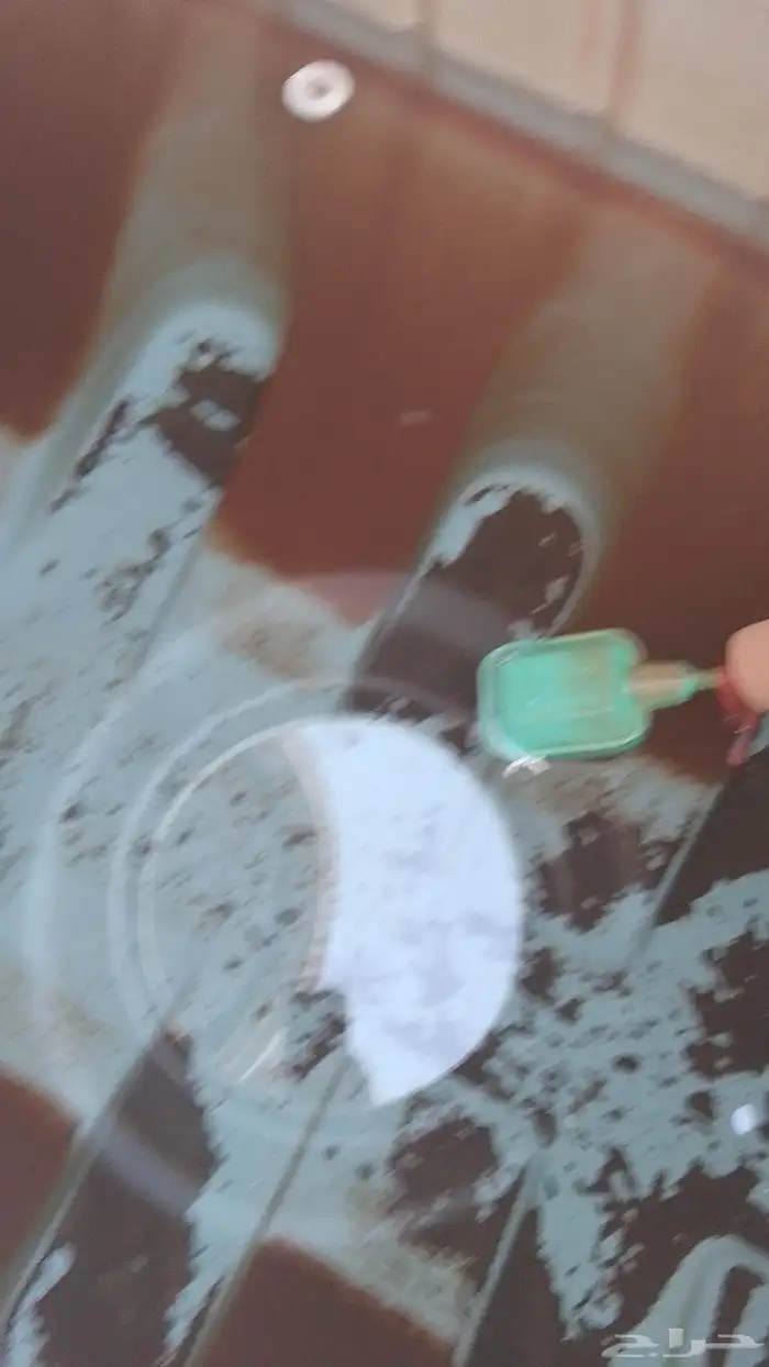 مؤسسة النقطه الأولي 12