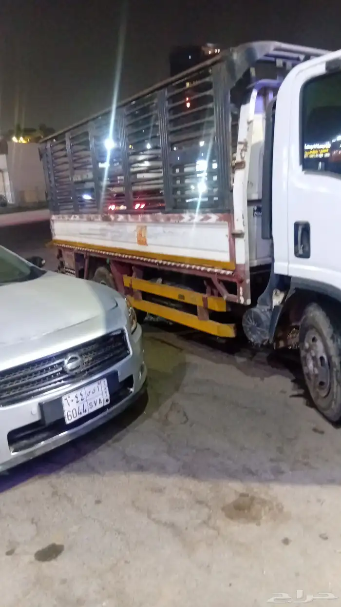 دينا سيزو للبيع 0