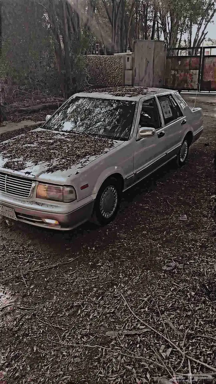 نيسان سيدرك 13