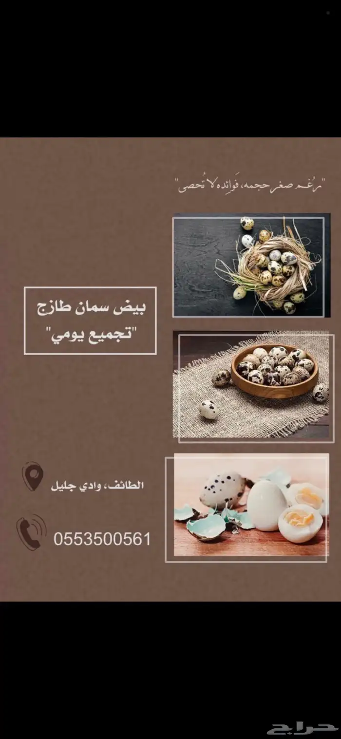 بيض سمان انتاج يومي ولله الحمد 0