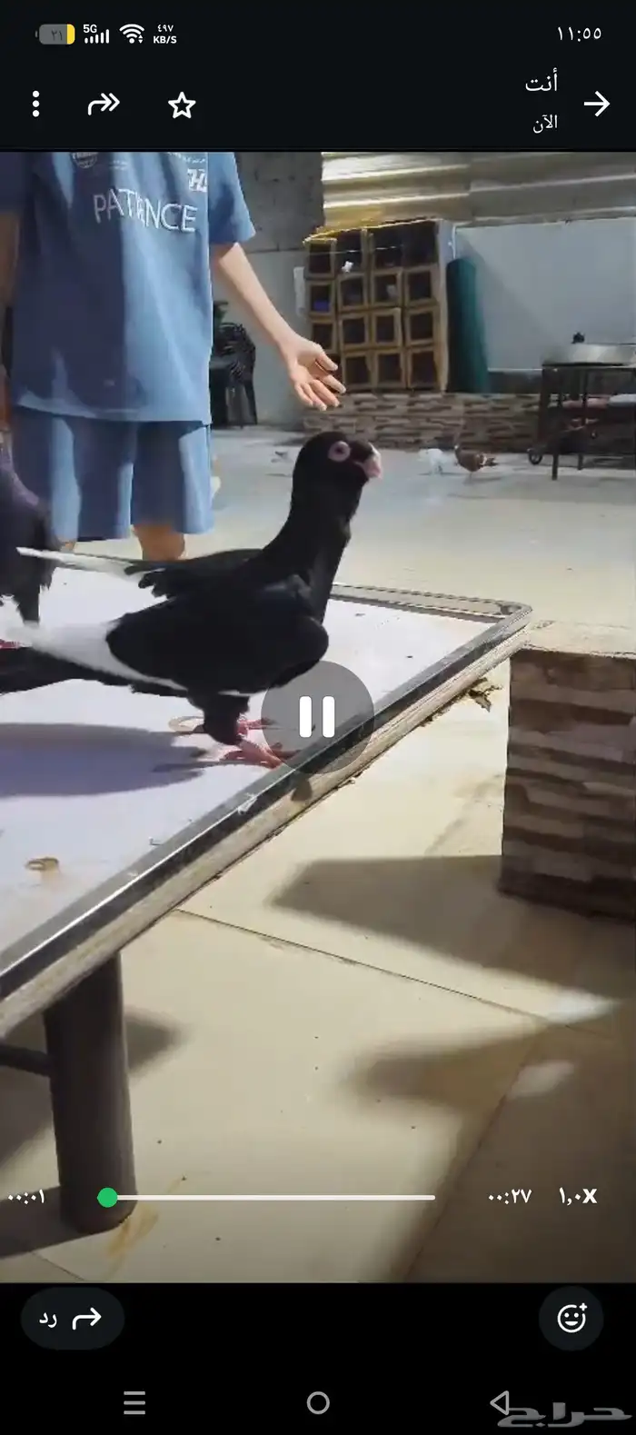 للبيع الموقع الرياض جوز مساويد سود على الاول 0