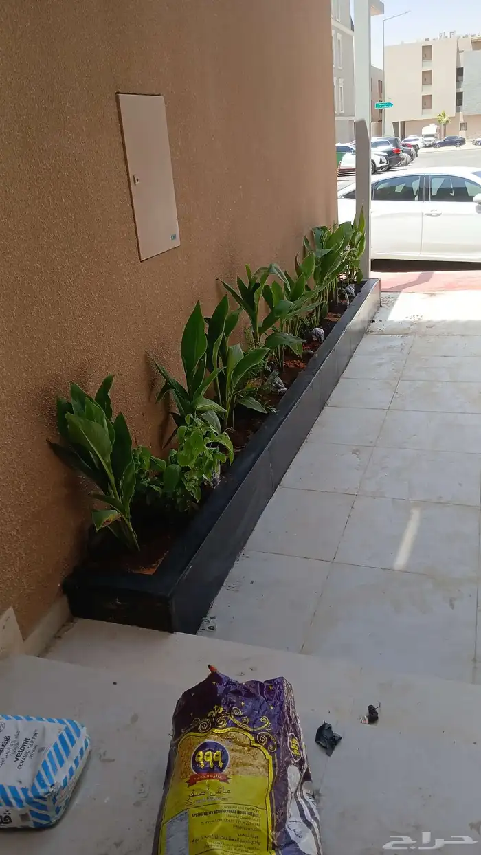 احواض زراعة شامل كل شي 4