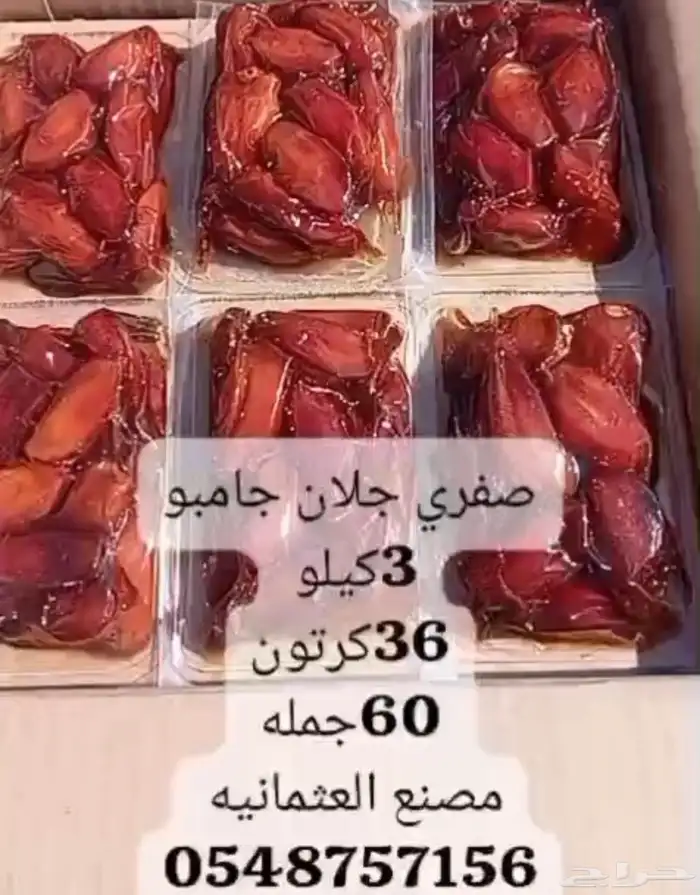 تمر صفري بيشه 0