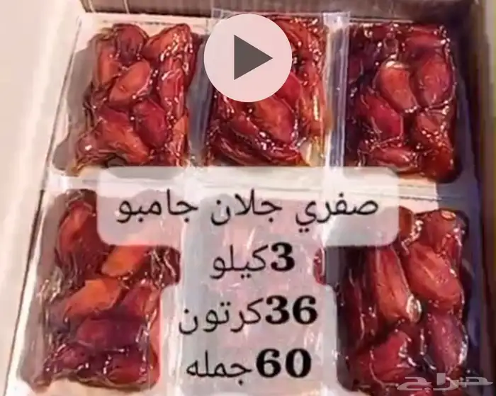 تمر صفري بيشه 1