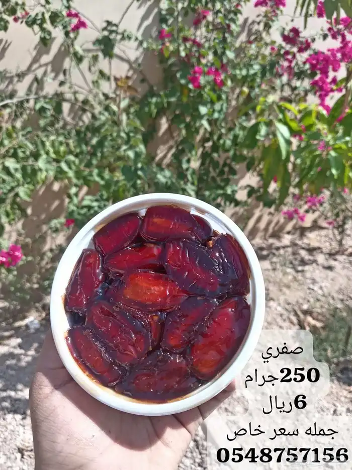 تمر صفري بيشه 9