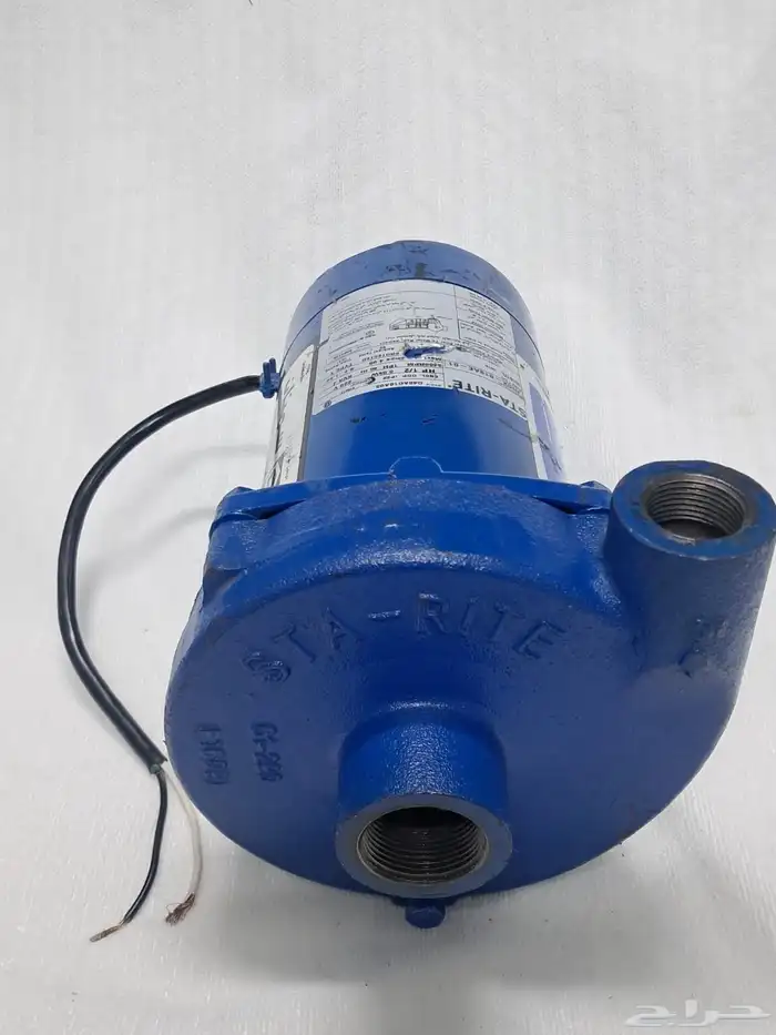 دينمو سمنان امريكي 3