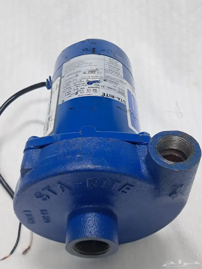 دينمو سمنان امريكي 2