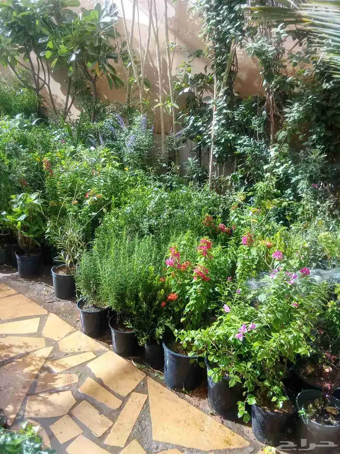 مشتل زراعي 6