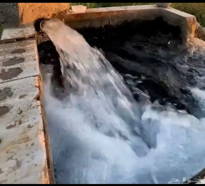 الصنات عبدالرحمن 0