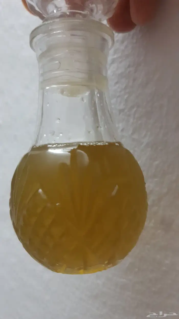 دهن ورد سبارتا مع طايفي 2