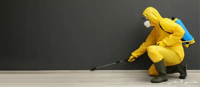 شركة مكافحة حشرات بالطايف رش مبيدات جميع الحشرات بالطايف 3