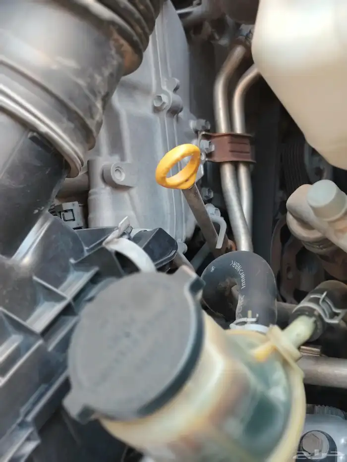 برادو 2012 جير ومكينه وشاص وبدي شد بلد وكاله 12