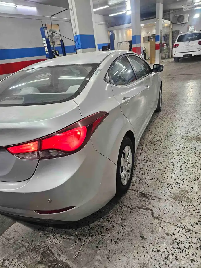 النتراء 2016 1