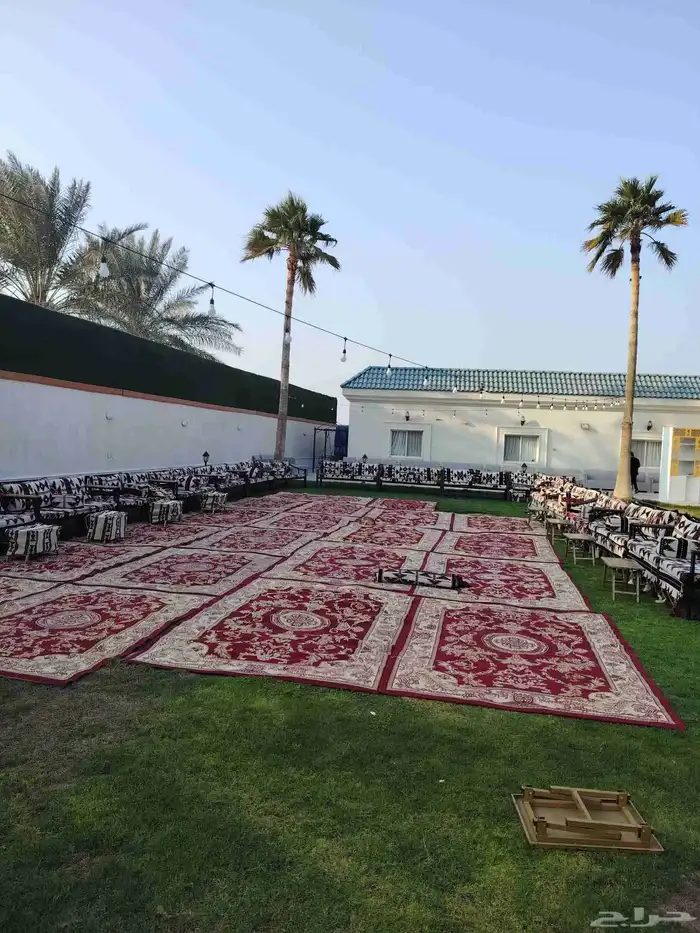 تأجير كراسي 1