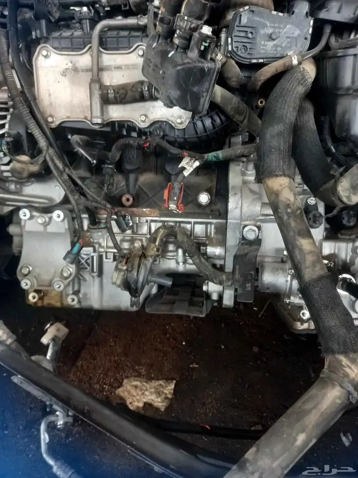 شيري ازيزو 6 2