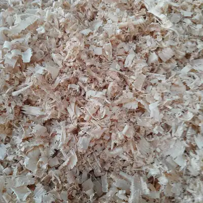 نشارة خشب للخيل والدواجن index