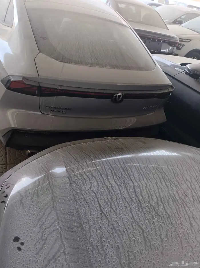 شانجان يوني في اليت 2026 5