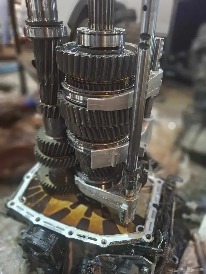 دينا اسوزو 2