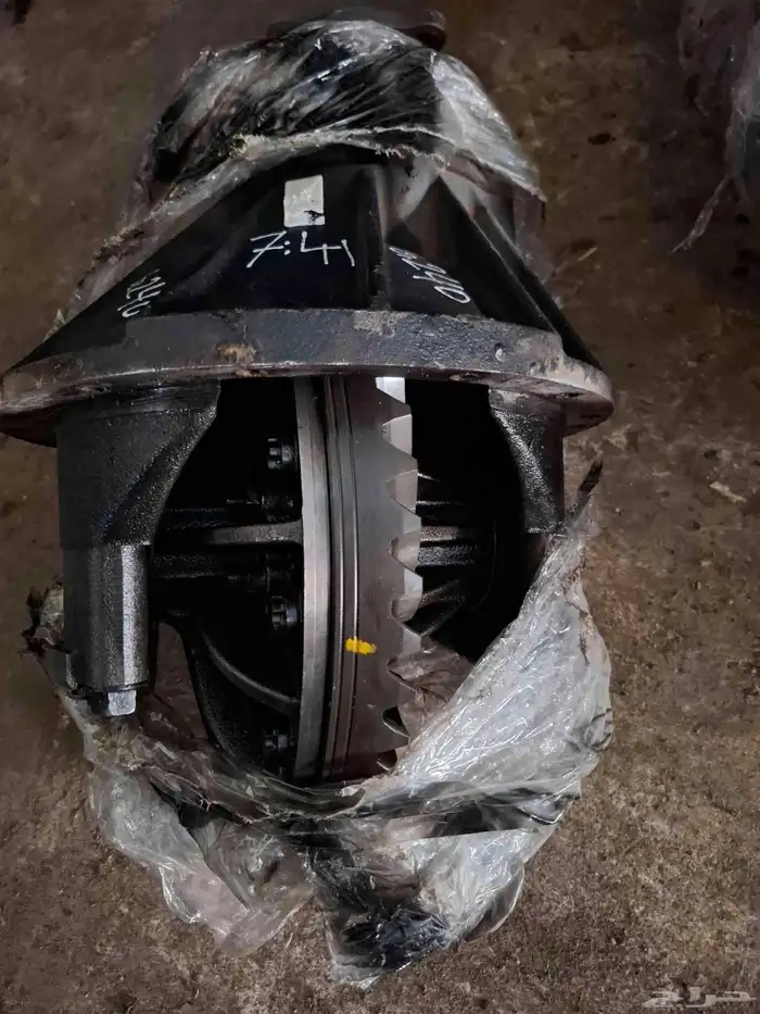 دينا اسوزو 1