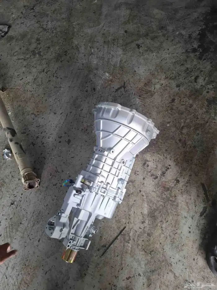 دينا اسوزو 0