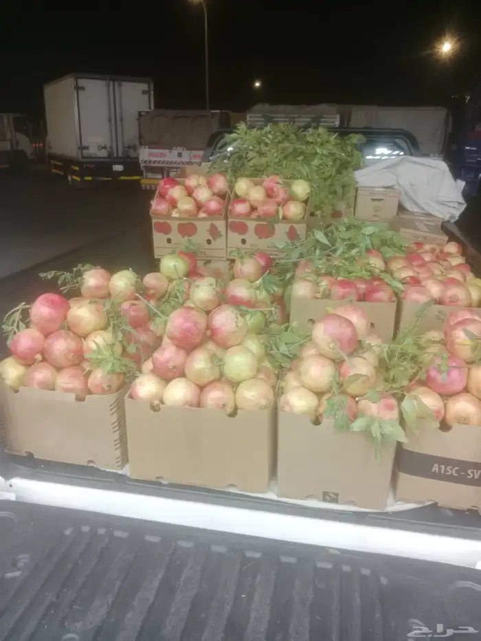 رمان فاخر الحق ما تلحق على نهاية الموسم 0