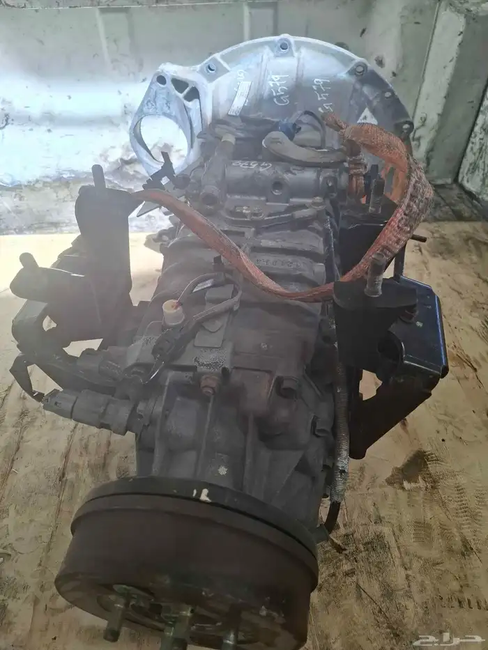 دينا اسوزو 3