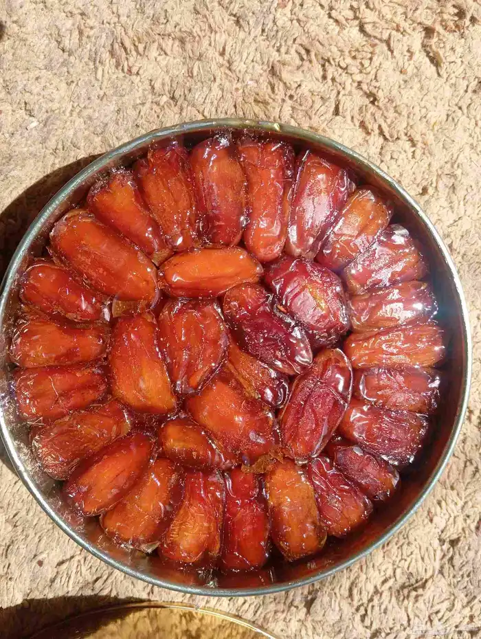 تمر صفري بيشه 6