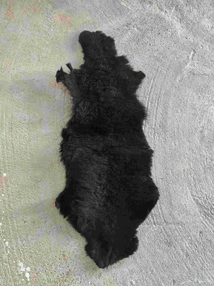 جاعد طبيعي اسود 0