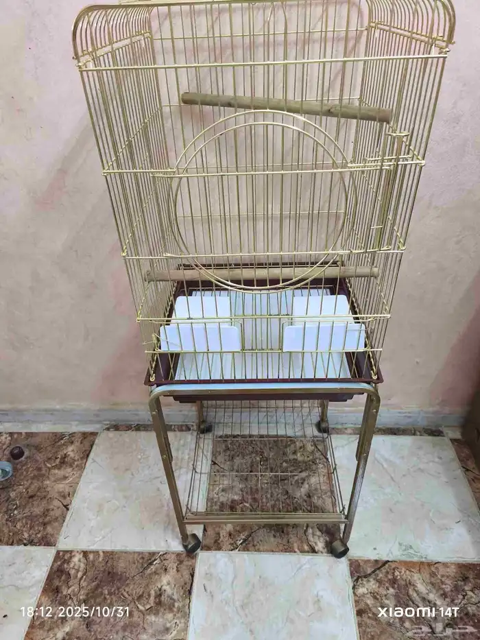 قفص ببغاء 3