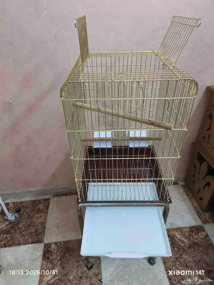 قفص ببغاء 2