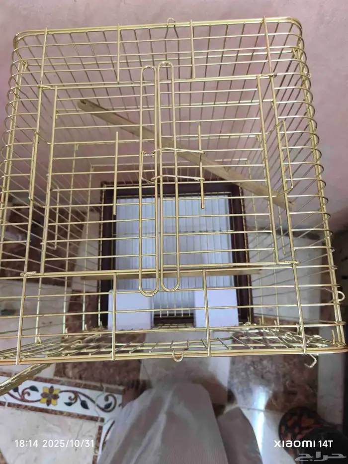 قفص ببغاء 0