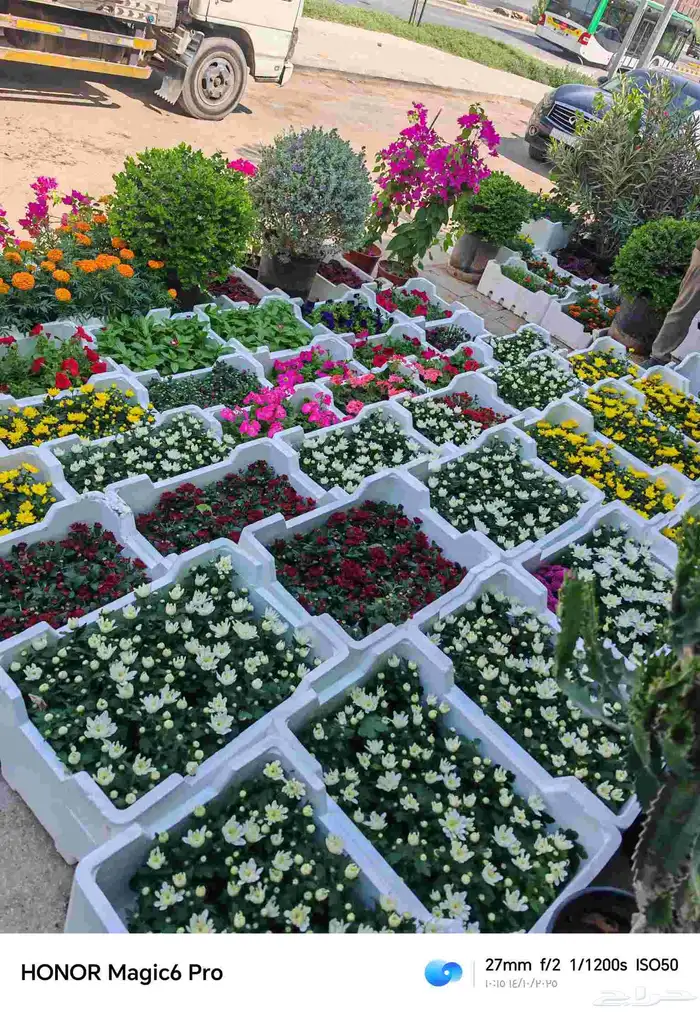 الزراعة الثيل الطبيعي وتركيب شبكات الري العادي والاتوماتيك 3