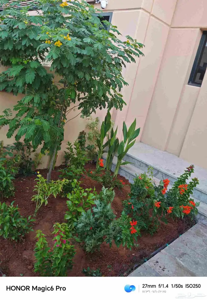 الزراعة الثيل الطبيعي وتركيب شبكات الري العادي والاتوماتيك 6